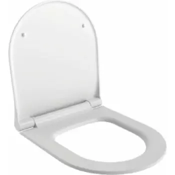 Сиденье для унитаза Ambassador Queen с микролифтом, глянцевое белое (112T20001S)