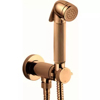 Смеситель для душа Bossini Nikita с гигиенической лейкой, встраиваемый, золото (E37008B.021)