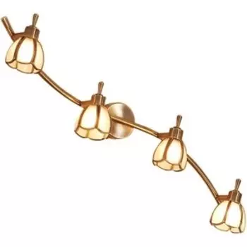 Спот Citilux CL522541