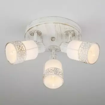 Спот Eurosvet 20026/3 белый с золотом