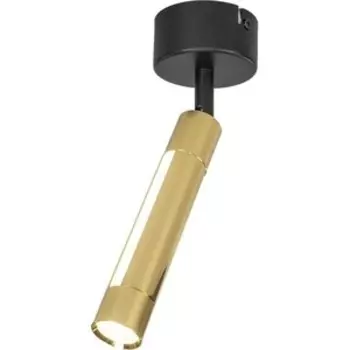 Спот Eurosvet Светодиодный Strong 20084/1 LED черный/золото