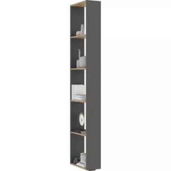 Стеллаж Woodville Элла СТЛ 01 серый графит 0162 / дуб крафт золото (586710)