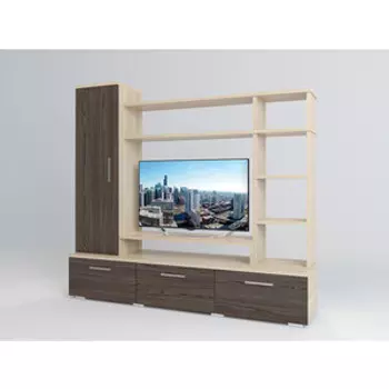 Стенка СМ мебель Весна туя светлая/туя темная