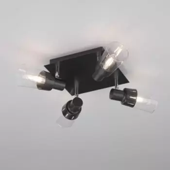 Светильник Eurosvet Потолочный 20081/4 черный