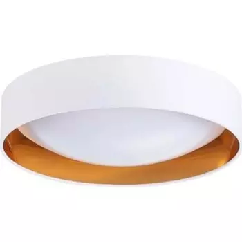 Светильник Evoluce Потолочный светодиодный Orbio SLE201122-01