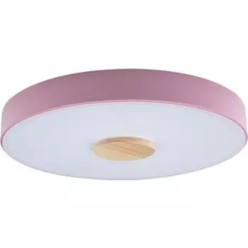 Светильник Loft IT потолочный светодиодный Axel 10003/24 pink