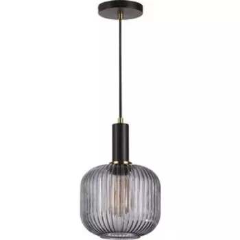 Светильник Lumion Подвесной Merlin 4451/1