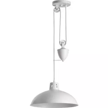 Светильник Lumion Подвесной Ruth 4441/1