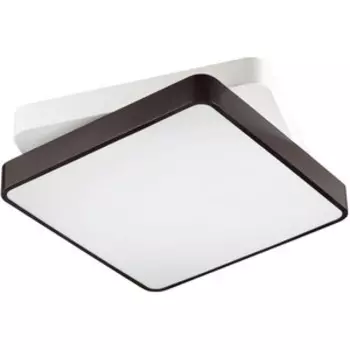 Светильник Lumion Потолочный светодиодный Agatha 4511/72CL