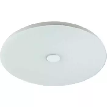 Светильник Sonex Потолочный светодиодный Roki Muzcolor 4629/EL