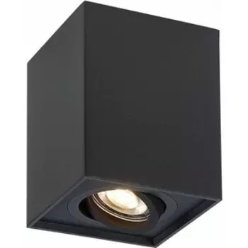 Светильник ST-Luce Потолочный ST109.407.01