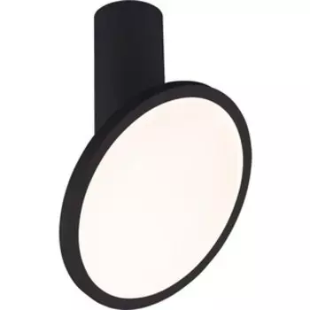 Светодиодный спот Elektrostandard Brain DLS029 12W 4200K черный матовый 4690389149078