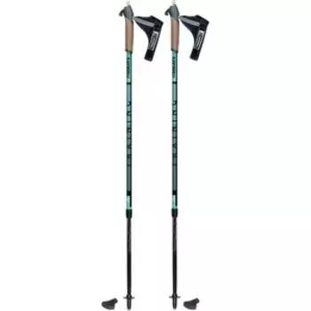 Телескопические палки MASTERS для скандинавской ходьбы TRAINING