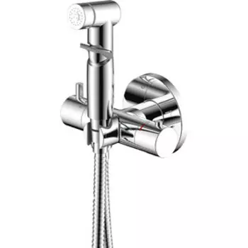 Гигиенический душ Rossinka с гигиеническим душем, хром (X25-58)