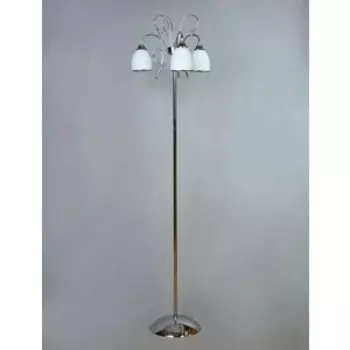 Торшер BRIZZI MA 02640F/003 Chrome