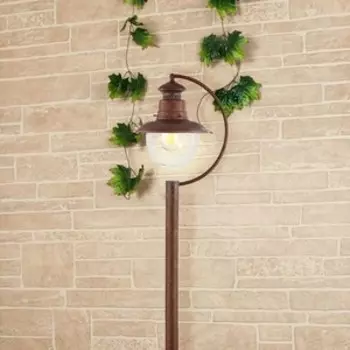 Уличный cветильник Elektrostandard 4690389106606