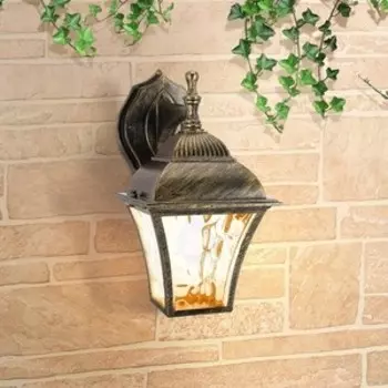 Уличный настенный cветильник Elektrostandard 4690389134128