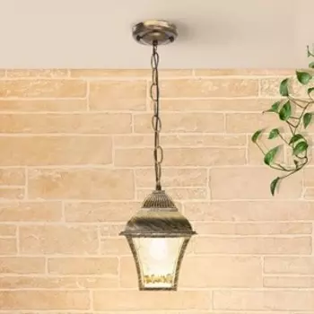 Уличный подвесной cветильник Elektrostandard 4690389134166