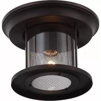 Уличный потолочный светильник ST-Luce SL080.402.01