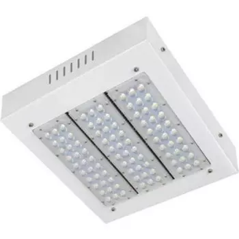 Уличный светодиодный светильник Horoz 069-002-0110