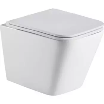 Унитаз подвесной безободковый WeltWasser Gelbach 004 MT-WT белый матовый (10000003696)