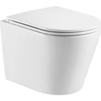 Унитаз подвесной безободковый WeltWasser Salzbach 043 GL-WT белый (10000010281)