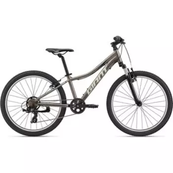 Велосипед Giant XtC Jr 24 Metal Gray