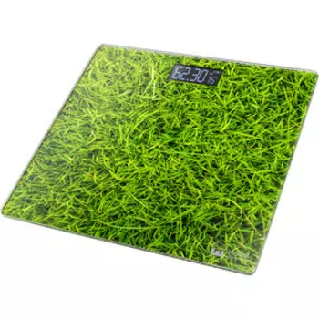 Весы Home Element HE-SC906 молодая трава