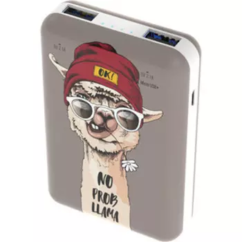 Внешний аккумулятор Ritmix RPB-10007 Lama