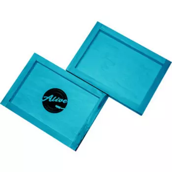 Ящик для 80 пластинок Alive Audio Nature (Blue) BX-085