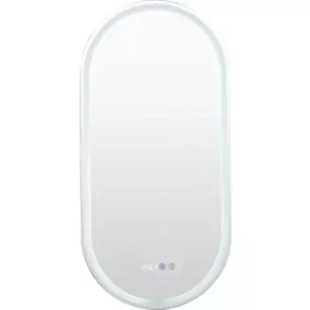 Зеркало Aquanet Монте 45х90 (288969)