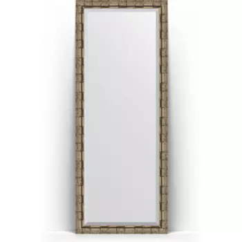 Зеркало напольное с фацетом Evoform Exclusive Floor 78x198 см, в багетной раме - серебряный бамбук 73 мм (BY 6107)