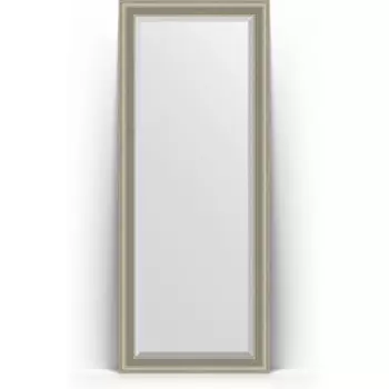Зеркало напольное с фацетом Evoform Exclusive Floor 81x201 см, в багетной раме - хамелеон 88 мм (BY 6120)