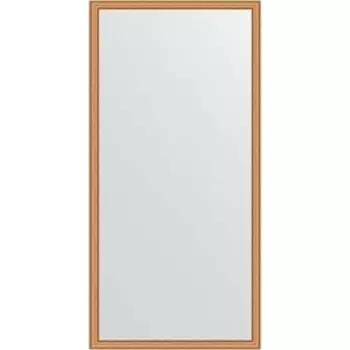 Зеркало в багетной раме поворотное Evoform Definite 48x98 см, вишня 22 мм (BY 0688)