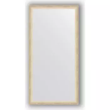 Зеркало в багетной раме поворотное Evoform Definite 50x100 см, состаренное серебро 37 мм (BY 0696)