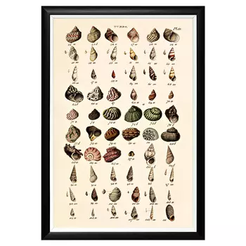 Арт-постер «море волнуется - 110» (object desire) мультиколор 66x46x2 см.