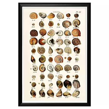 Арт-постер «море волнуется -111» (object desire) мультиколор 46x66x2 см.