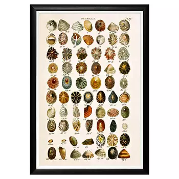 Арт-постер «море волнуется - 112» (object desire) мультиколор 46x66x2 см.