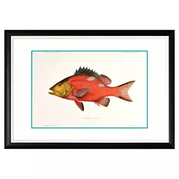 Арт-постер «море волнуется - 68» (object desire) мультиколор 66x46x2 см.