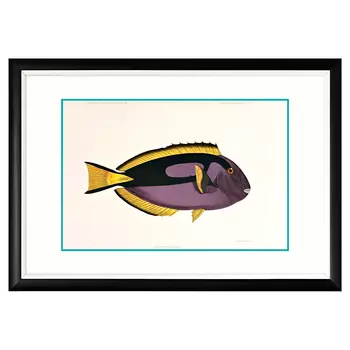 Арт-постер «море волнуется - 69» (object desire) мультиколор 66x46x2 см.