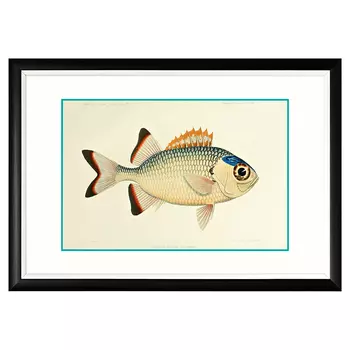 Арт-постер «море волнуется - 76» (object desire) мультиколор 66x46x2 см.