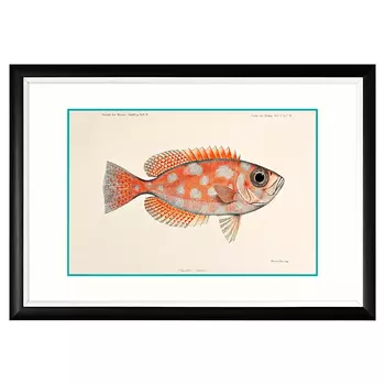 Арт-постер «море волнуется - 80» (object desire) мультиколор 66x46x2 см.