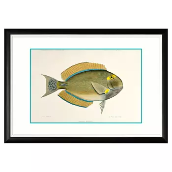 Арт-постер «море волнуется - 81» (object desire) мультиколор 66x46x2 см.