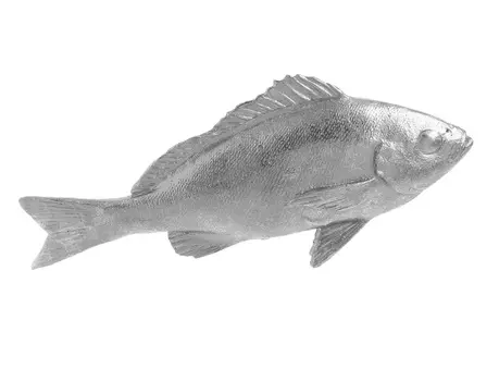 Декор настольный рыба closuring (to4rooms) серебристый 24x10x7 см.