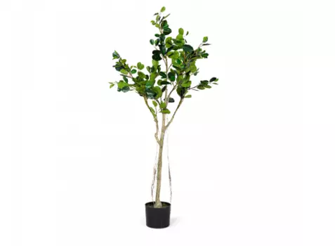 Дерево искусственное corvine (desondo) зеленый 210 см.