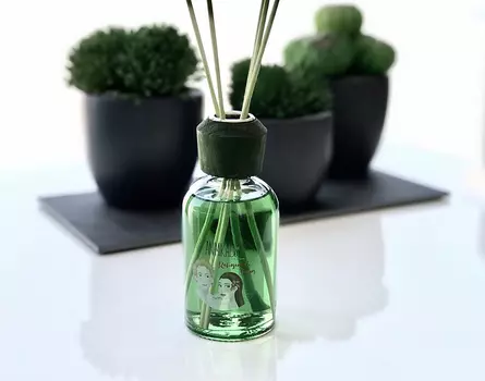 Диффузор absolutely fabulous animikados 100 мл (ambientair) прозрачный 21 см.