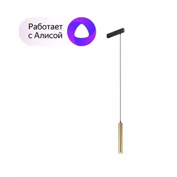 Dk8008-bg подвесной светильник smart hang 9w dim 2700k-6000k матовое золото с черным (denkirs) золотой