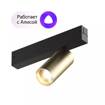 Dk8010-bg акцентный светильник smart spot 9w dim 3000k-6000k, матовое золото с черным (denkirs) золотой