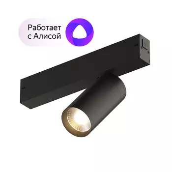 Dk8010-bk акцентный светильник smart spot 9w dim 3000k-6000k черный (denkirs) черный