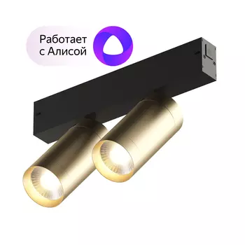 Dk8012-bg акцентный светильник smart spot double 2x9w dim 3000k-6000k, матовое золото с черным (denkirs) золотой